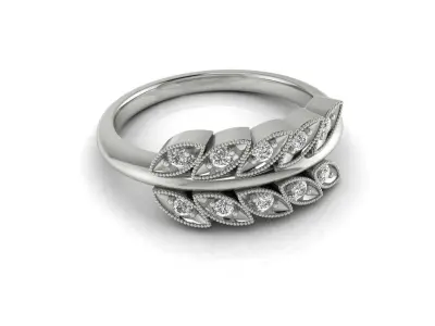 Ring 105 3D print model