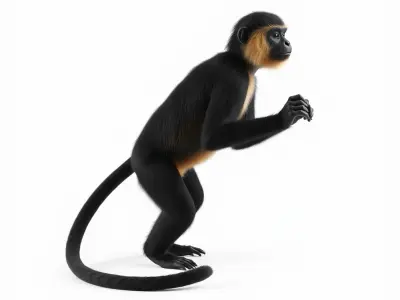 Dynamic Gibbon Primate model pack Low-poly 3D model