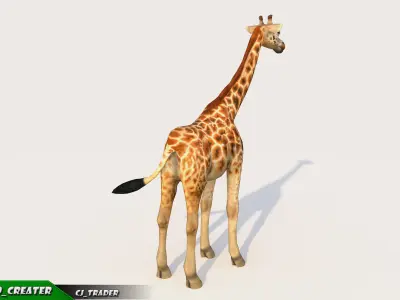 LowPoly Giraffe Animated 3d model Low-poly 3D model