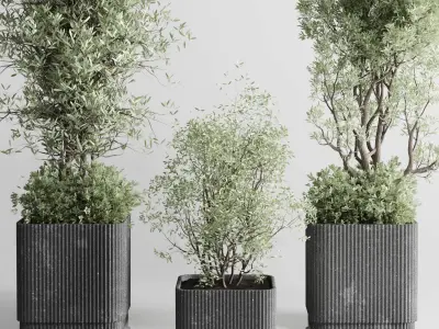 Indoor plant set 332 plant tree vase dirty concrete Low-poly 3D model