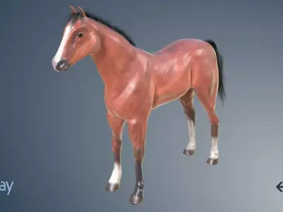 Game Horse Low-poly 3D model