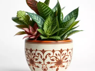 Decorative Ceramic Planter model pack Low-poly 3D model