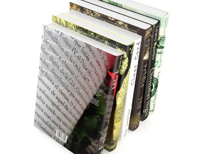 Books Set four in row 3D model
