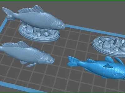 Carp fish on the base 3D print model