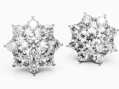 Stud Earrings 4 3D print model