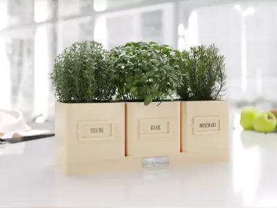 Flower pots with herbs 3D model