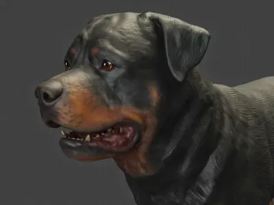 DOG - ROTTWEILER Low-poly 3D model