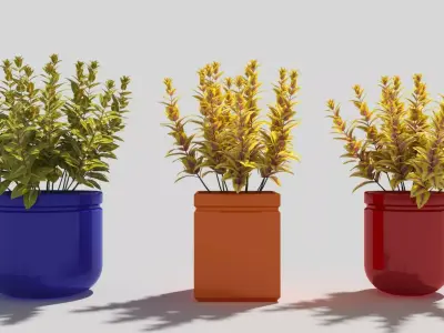 coleus three vases 3D model