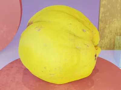 Quince fruit 05 high-poly 3D model