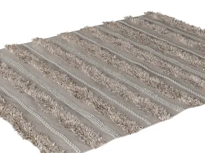 Shag rug with glitter 3D model