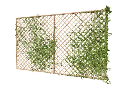 Wood Mesh Wall with Ivy Climber Low-poly 3D model