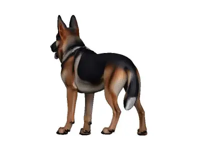 Germanshep Low-poly 3D model