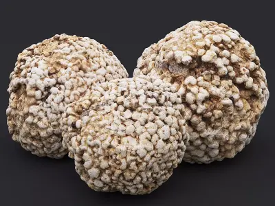 Stone XVII 3D model