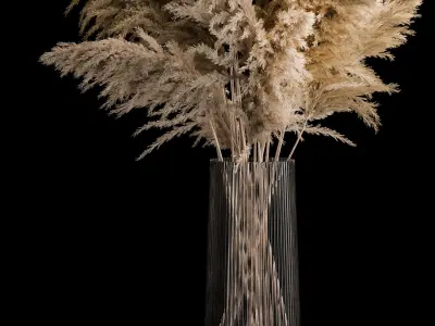 Bouquet Dried Flowers From Pampas Grass In A Vase 3D model
