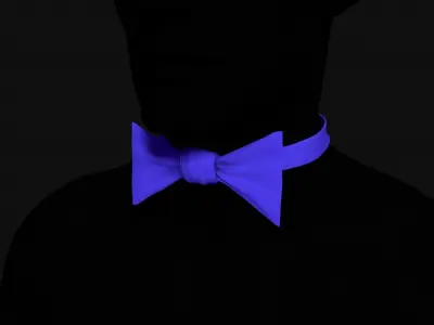 Set of bows 3D model