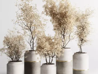 Indoor plant autumn set 304 concrete vase plant tree bush pot Low-poly 3D model