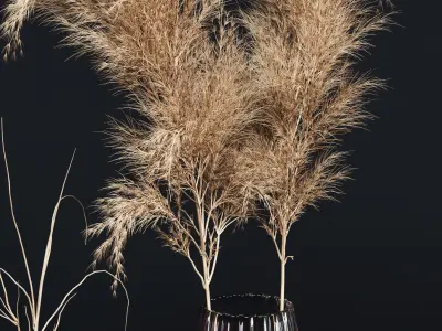 Decoration Set 02 pampas 3D model