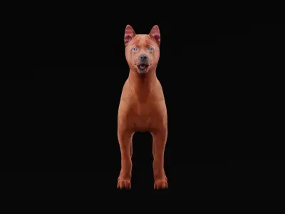 Thai Ridgeback Puppy Dog Breed 3D model