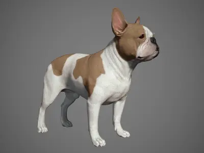 French Bulldog Real-Time Low-poly 3D model