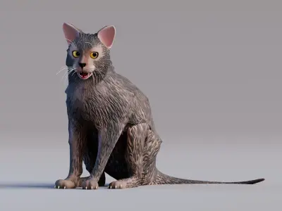 Low Poly - Stylized cats - Lykoi Cat Low-poly 3D model