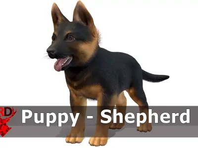 Puppy - Shephed Low-poly 3D model