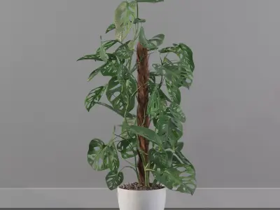 Monstera monkey mask 3D model