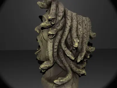 Medusa Planter 3D print model