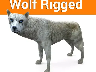 White Fox rigged 3D Models  Low-poly 3D model