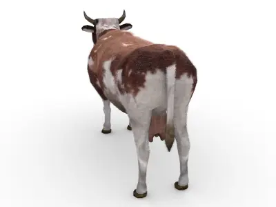 Dairy Cow Low-poly 3D model
