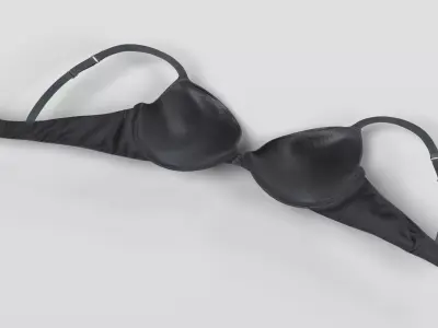-Bra- 3D model