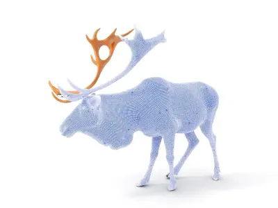 Detailed Reindeer Model Pack Low-poly 3D model
