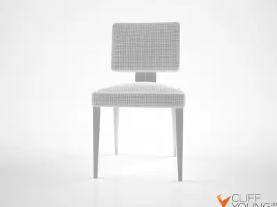 Cliff Young Thought Chair 3D model