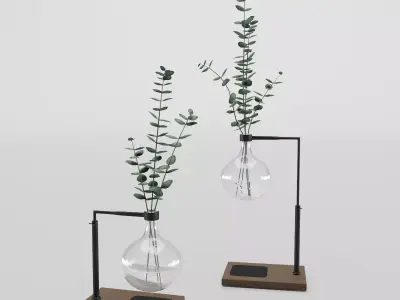 Eucalyptus In Laboratorium Round Jar 3D model