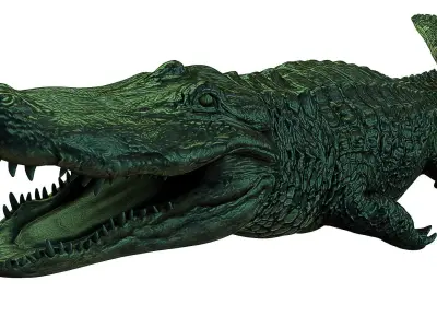 Alligator crocodile Low-poly 3D model