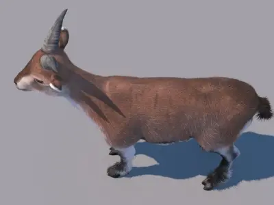 blue sheep 3Dmodel 3D model
