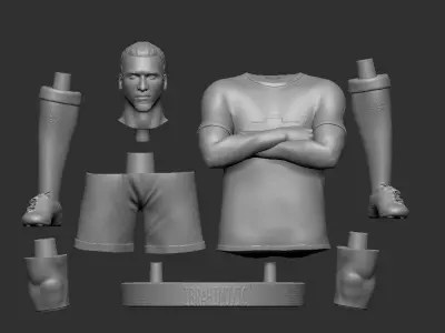 Ibrahimovic 3D Printable 3D print model