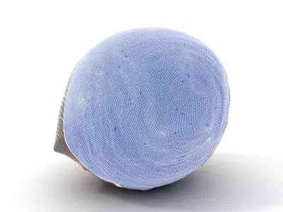 Iridescent Seashell model pack Low-poly 3D model