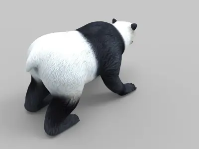 White Rigged 3D Models low poly model Low-poly 3D model