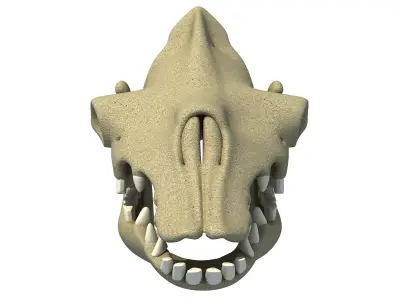 Bones Camel Skull 3D model