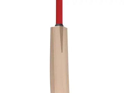 Generic Cricket Bat 3D model