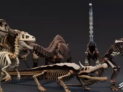 Dinosaur Fossil Pack VOL1 Low-poly 3D model