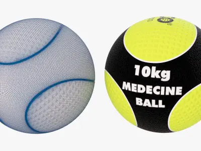 THREE  PANNEL MEDICINEBALL 3D print model