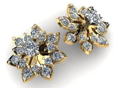 Earrings Free 3D print model