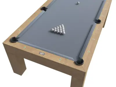PAULA PARSONS POOL TABLE 3D model