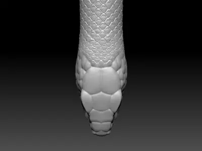 Black Snake Zbrush Model 3D model
