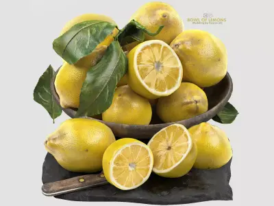 bowl of lemons 3D model