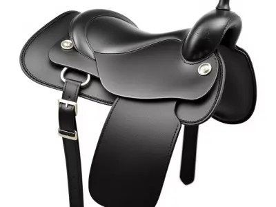 Elegant Black Saddle Model Pack Low-poly 3D model