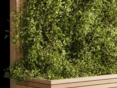 Wooden box ivy plants 01 3D model