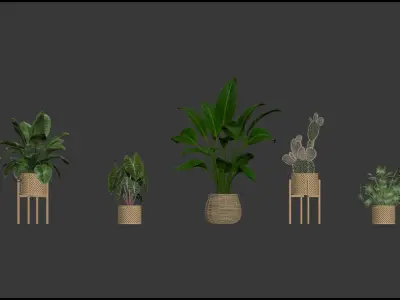 20 Photorealistic Flowers for Interiors - set 202 206 210 213 3D Model Collection