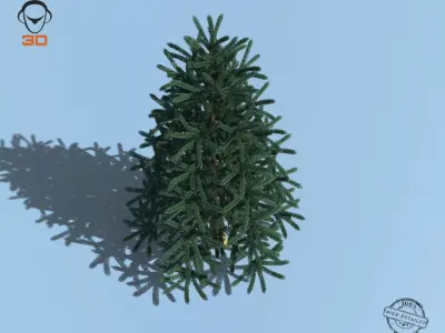 Christmas Tree 3D model
